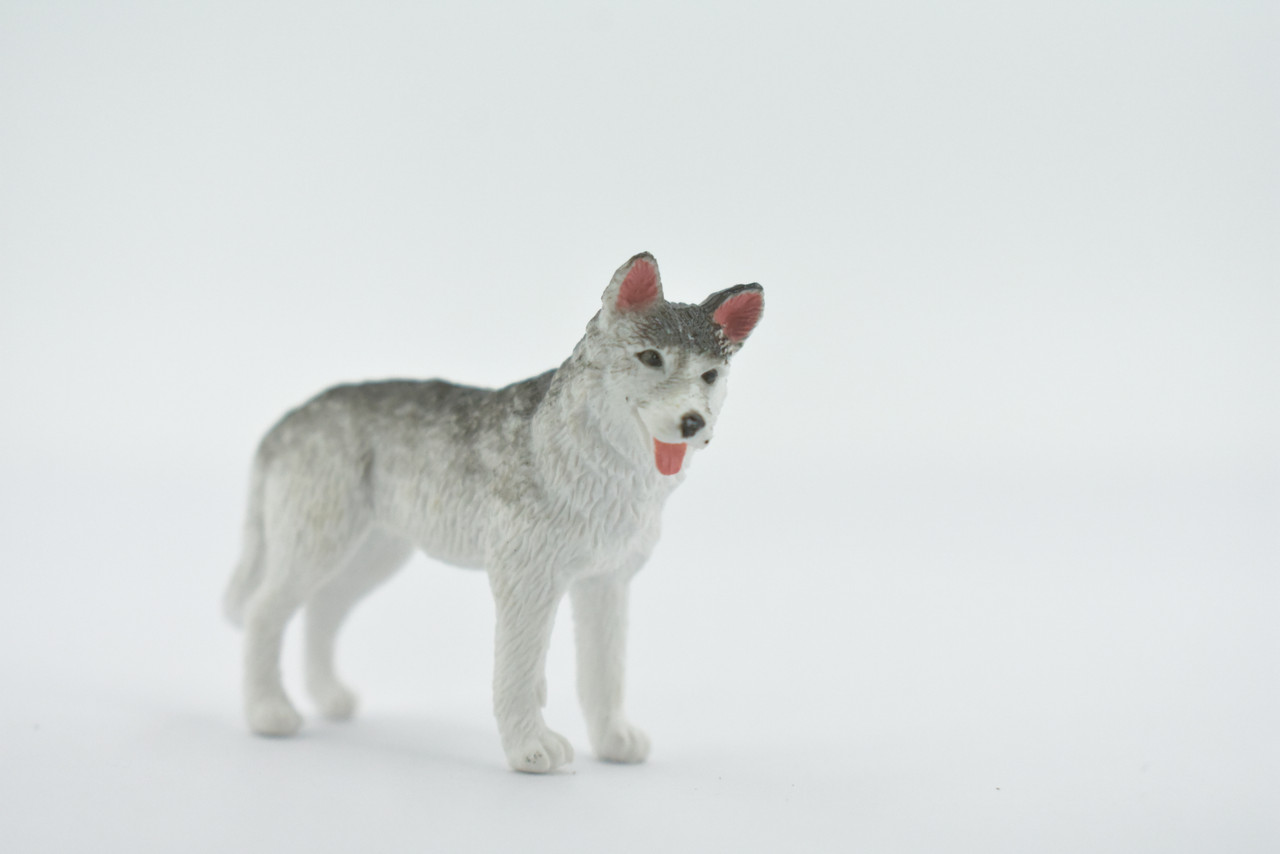 Huskie, Alaskan Husky Sled Dog, Canine, High Quality, Rubber, Hand Painted, Realistic, Figure, Model, Replica, Toy, Kids, Educational, Gift,      2"  