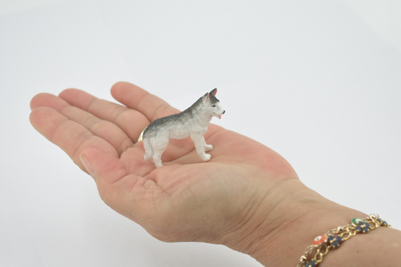 Huskie, Alaskan Husky Sled Dog, Canine, High Quality, Rubber, Hand Painted, Realistic, Figure, Model, Replica, Toy, Kids, Educational, Gift,      2"  