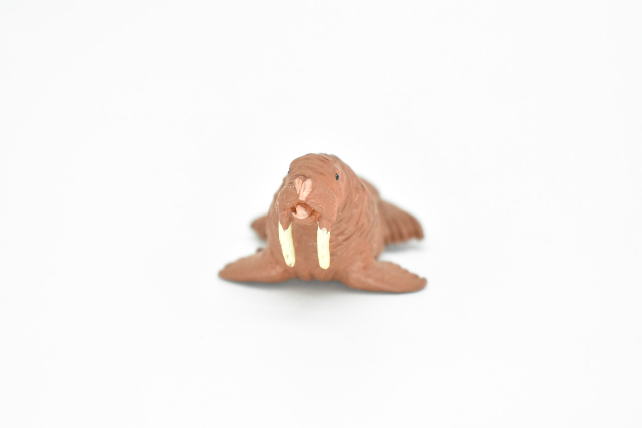 Walrus, Tusked sea cow, High Quality, Plastic, Hand Painted, Realistic, Figure, Model, Replica, Toy, Kids, Educational, Gift,     1 3/4"  F3503 B67
