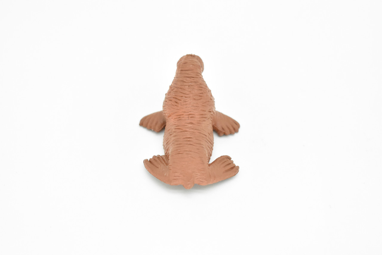 Walrus, Tusked sea cow, High Quality, Plastic, Hand Painted, Realistic, Figure, Model, Replica, Toy, Kids, Educational, Gift,     1 3/4"  F3503 B67