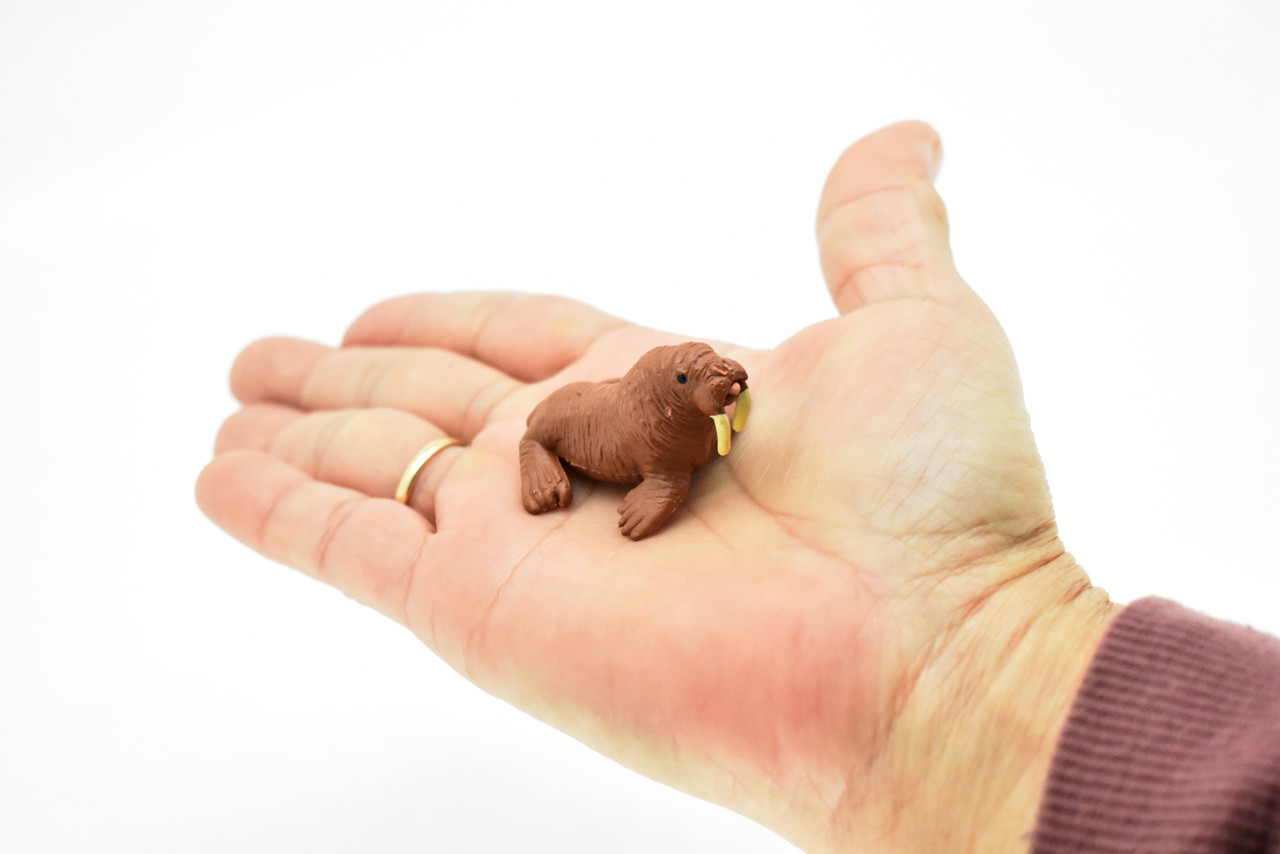 Walrus, Tusked sea cow, High Quality, Plastic, Hand Painted, Realistic, Figure, Model, Replica, Toy, Kids, Educational, Gift,     1 3/4" 