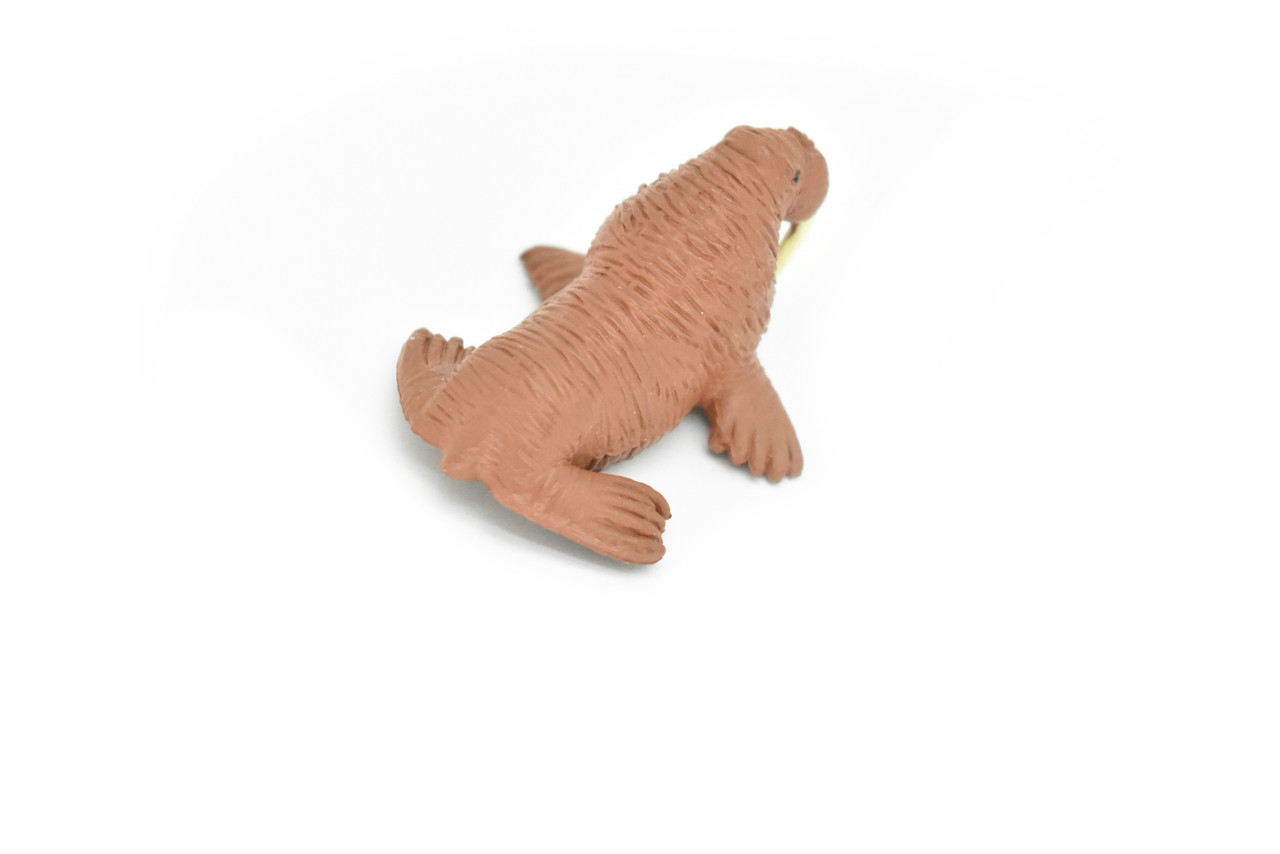 Walrus, Realistic Toy Model Plastic Replica, Kids Educational Gift    2"    F3503 B67