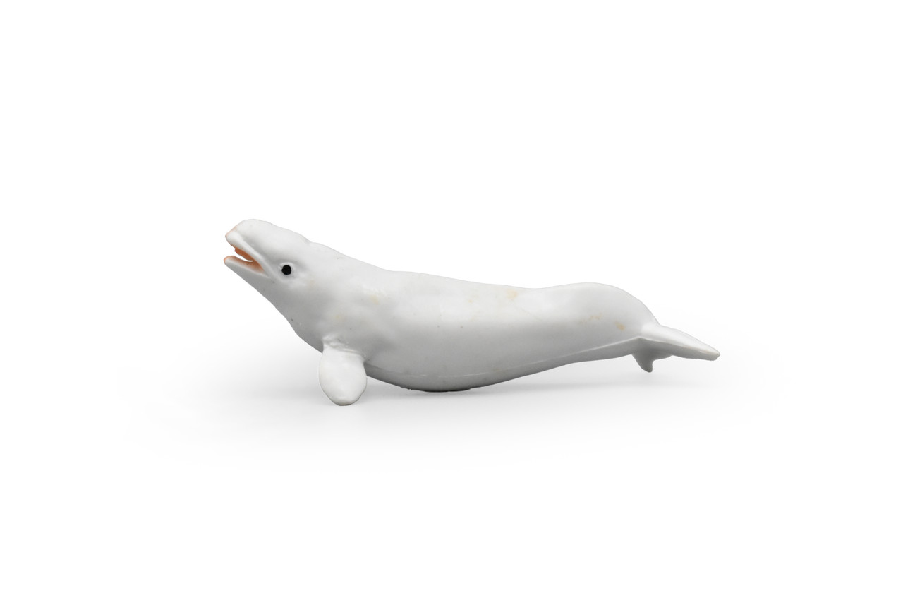 Beluga Whale, Very Nice Plastic Replica  2 1/2 inches long  -  F3504 B67