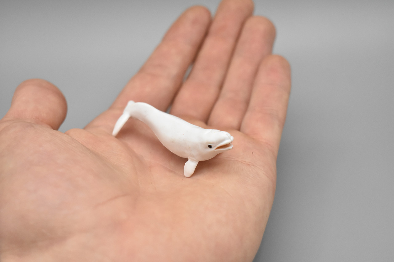 Beluga Whale, White whale, High Quality, Plastic, Hand Painted, Realistic, Figure, Model, Replica, Toy, Kids, Educational, Gift,     2 1/2" 