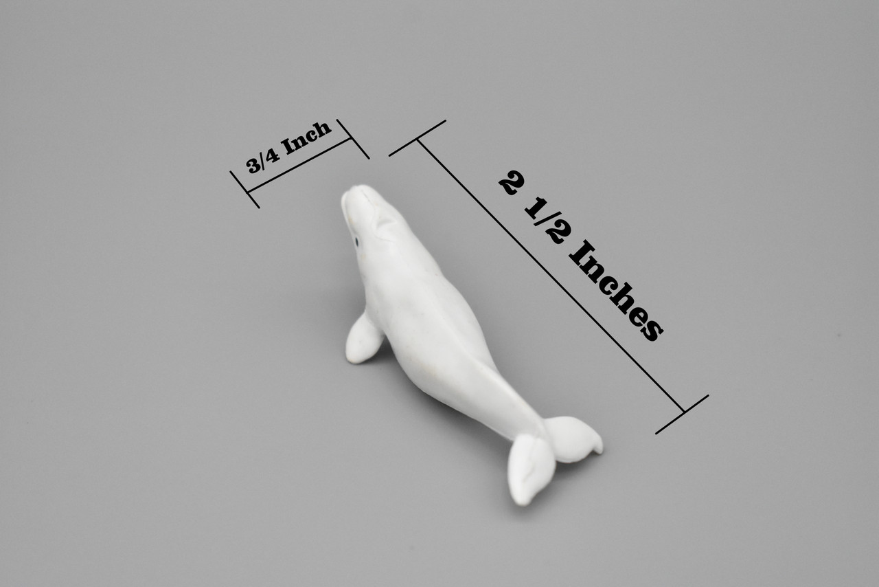 Beluga Whale, White whale, High Quality, Plastic, Hand Painted, Realistic, Figure, Model, Replica, Toy, Kids, Educational, Gift,     2 1/2" 