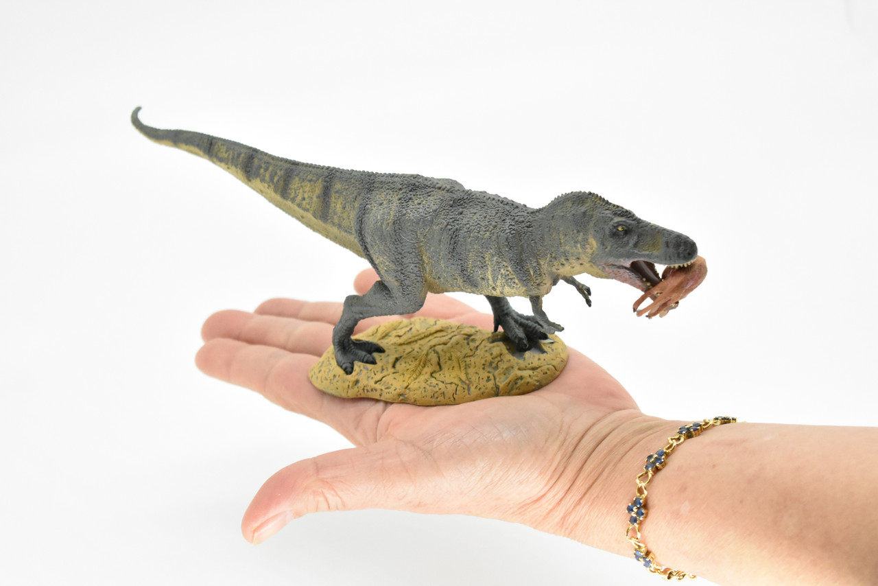 Tyrannosaurus rex, T. Rex, Dinosaur, with Prey Struthiomimus  10"    -    F3515 B88