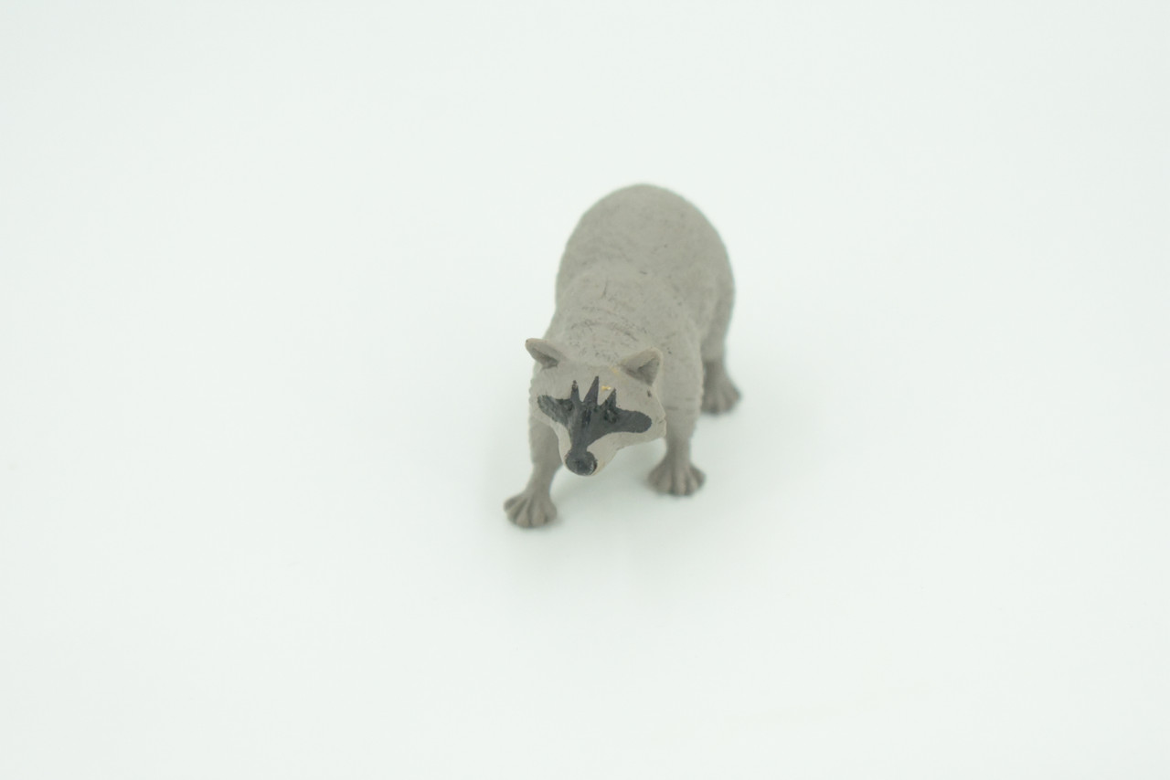 Raccoon, Very Nice Rubber Animal, Educational, Hand Painted, Realistic Figure, Lifelike Model, Figurine, Toy, Kids,  Gift,    2 1/2 Inches.   F3526 B138