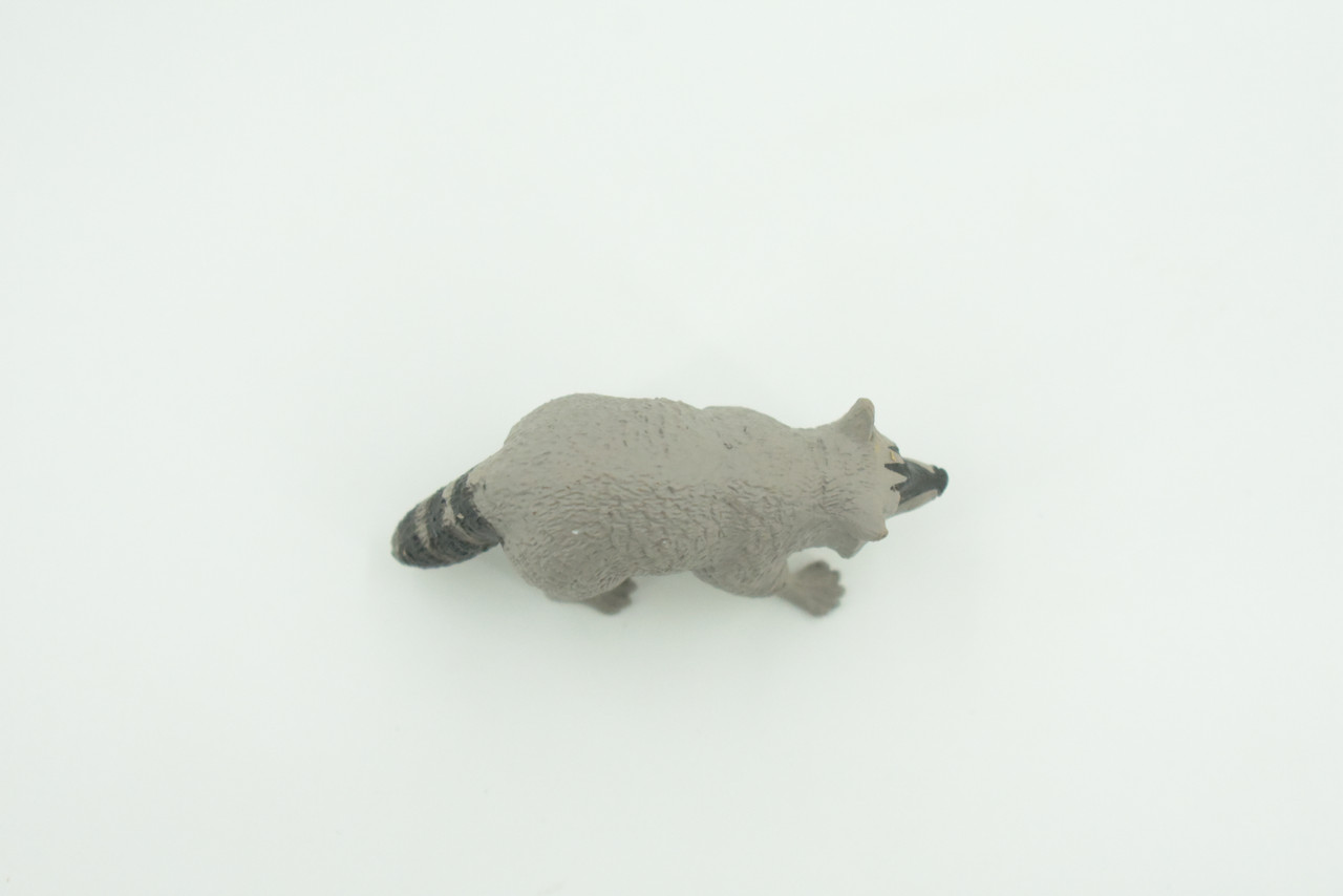 Raccoon, Very Nice Rubber Animal, Educational, Hand Painted, Realistic Figure, Lifelike Model, Figurine, Toy, Kids,  Gift,    2 1/2 Inches.   F3526 B138