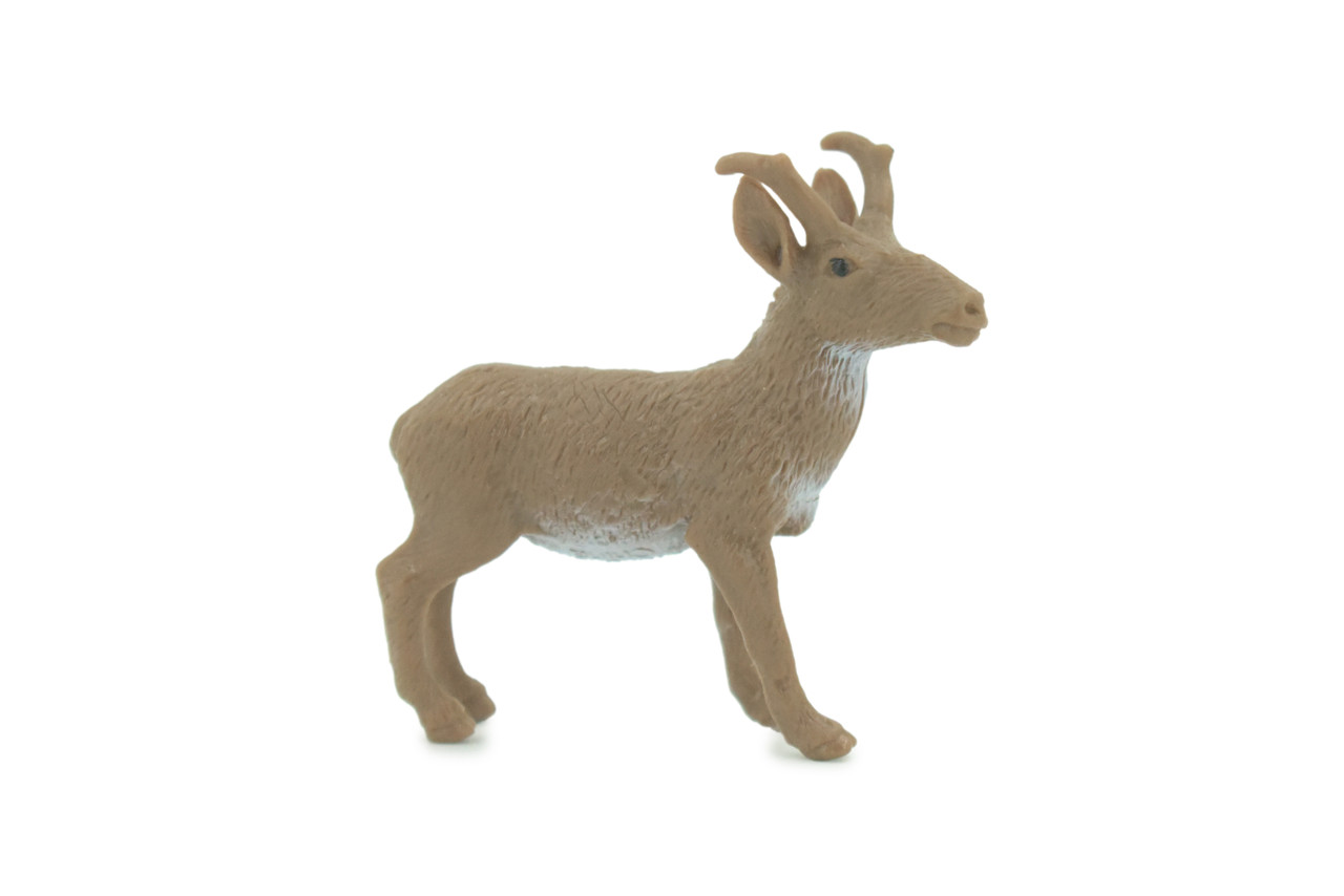 Antelope, Pronghorn, Very Nice Rubber Animal, Educational, Hand Painted, Realistic Figure, Lifelike, Toy, Kids, Gift, 2 Inches. F3529 B138