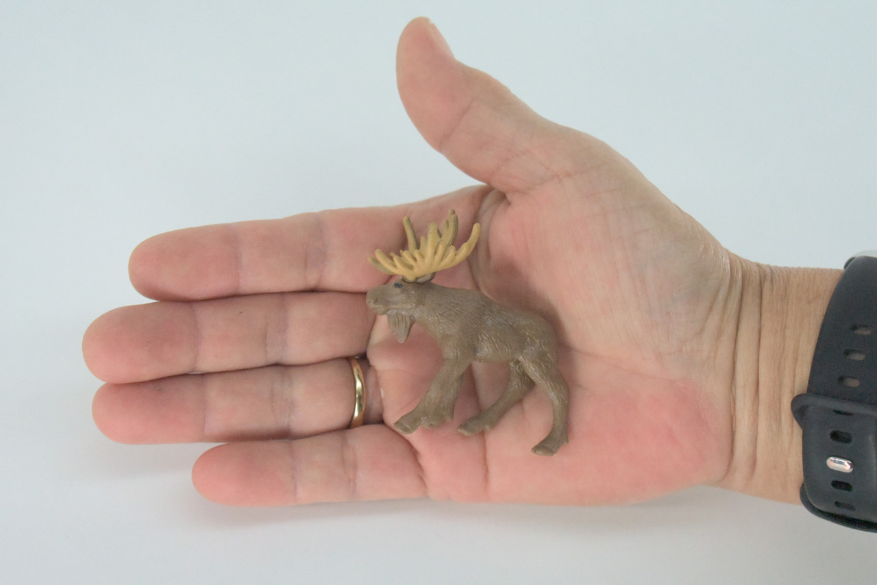Moose, Very Nice Rubber Animal, Educational, Hand Painted, Realistic Figure, Lifelike Moose Design, Toy, Kids, Gift,     2 1/2 Inches.      F3533 B138