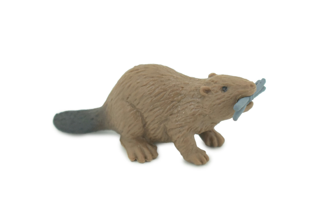 Beaver, Brown Castor, Very Nice Rubber Animal, Educational, Realistic Figure, Lifelike Model, Figurine, Toy, Kids, Gift, 2 1/4 Inches. F3534 B138