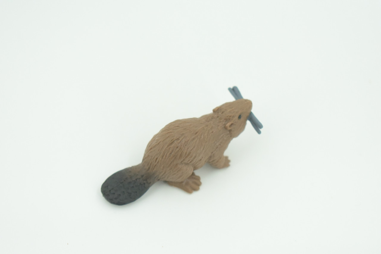 Beaver, Brown Castor, Very Nice Rubber Animal, Educational, Realistic Figure, Lifelike Model, Figurine, Toy, Kids,  Gift,    2 1/4 Inches.      F3534 B138