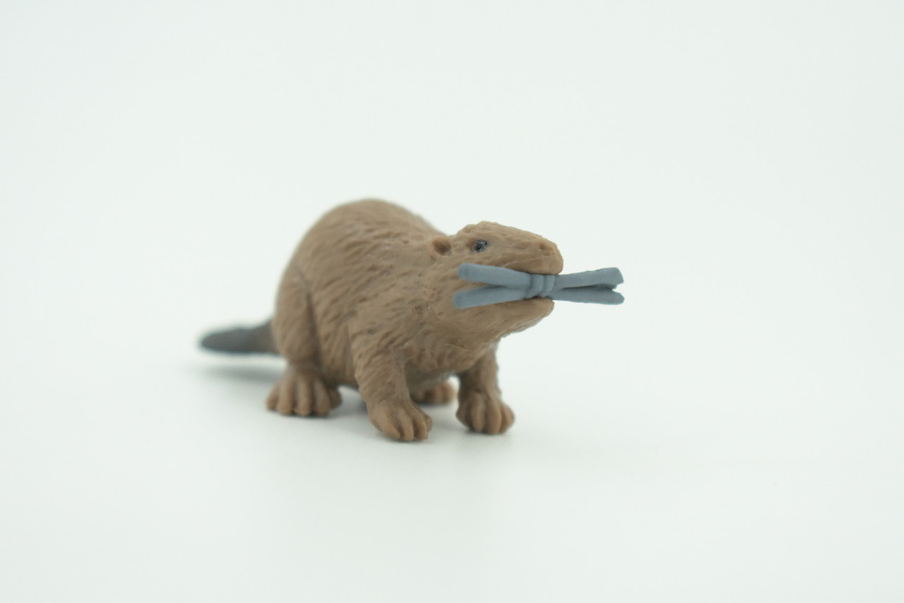 Beaver, Brown Castor, Very Nice Rubber Animal, Educational, Realistic Figure, Lifelike Model, Figurine, Toy, Kids,  Gift,    2 1/4 Inches.      F3534 B138