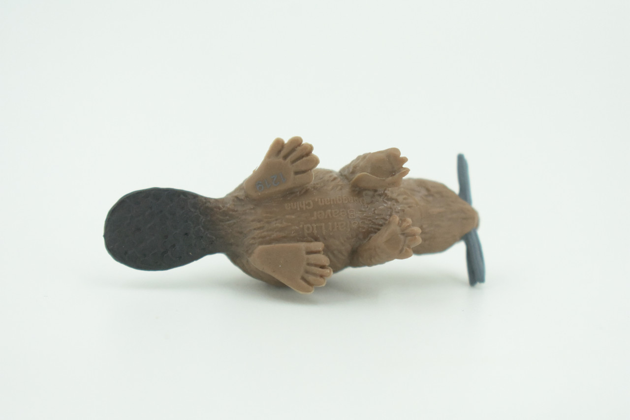 Beaver, Brown Castor, Very Nice Rubber Animal, Educational, Realistic Figure, Lifelike Model, Figurine, Toy, Kids,  Gift,    2 1/4 Inches.      F3534 B138