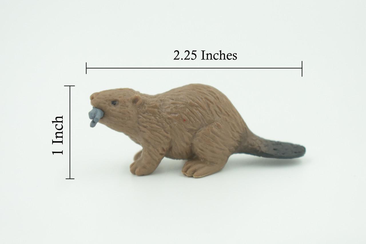 Beaver, Brown Castor, Very Nice Rubber Animal, Educational, Realistic Figure, Lifelike Model, Figurine, Toy, Kids,  Gift,    2 1/4 Inches.      F3534 B138