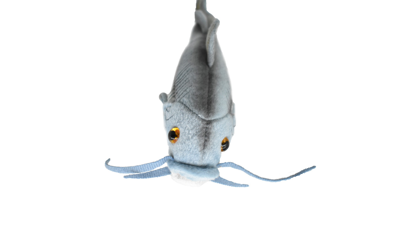 Blue Catfish, Fish, Very Nice Plush Fish, Stuffed Animal, Educational, Toy, Kids, Realistic Figure, Gift,          17" 