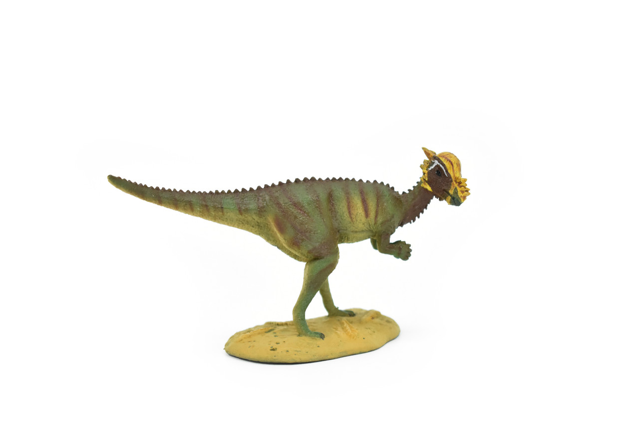 Pachycephalosaurus Dinosaur, Museum Quality Plastic Replica    5"    F3612 B228