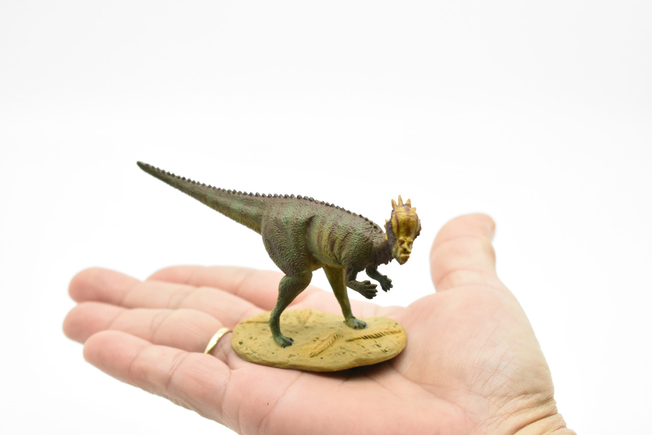 Pachycephalosaurus Dinosaur, Museum Quality Plastic Replica    5"    F3612 B228
