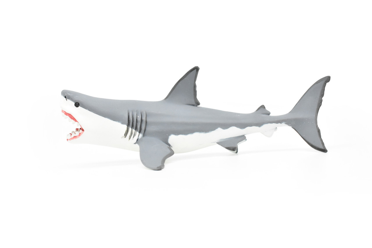 Megalodon, Giant Shark, Museum Quality Plastic Reproduction 7