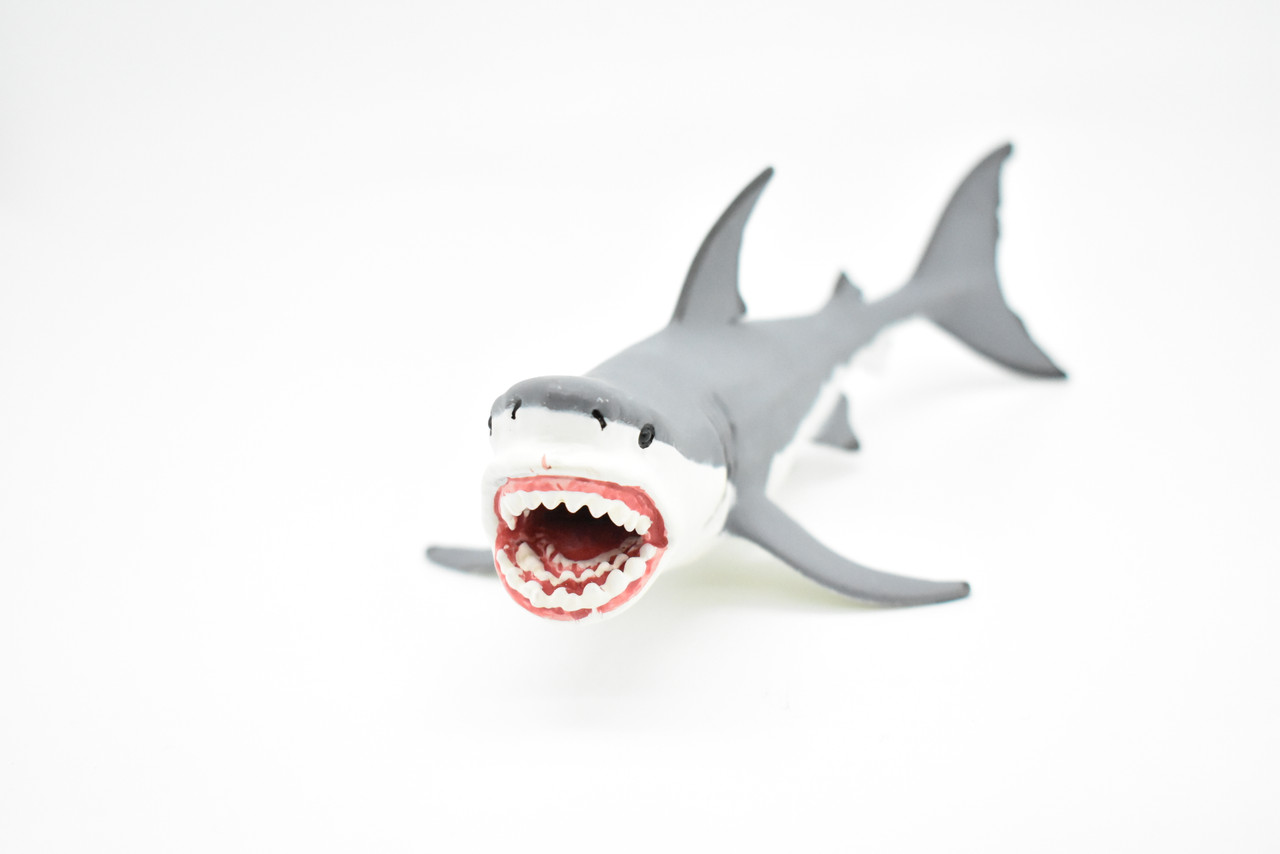 Megalodon, Giant Shark, Museum Quality Plastic Reproduction 7 F3632 B209