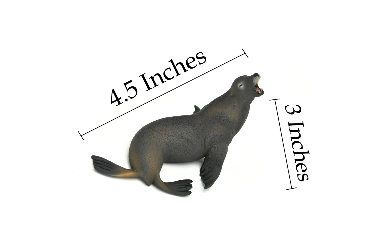 Sea Lion, Museum Quality Plastic Replica     4 1/2"   -   F3642 B78
