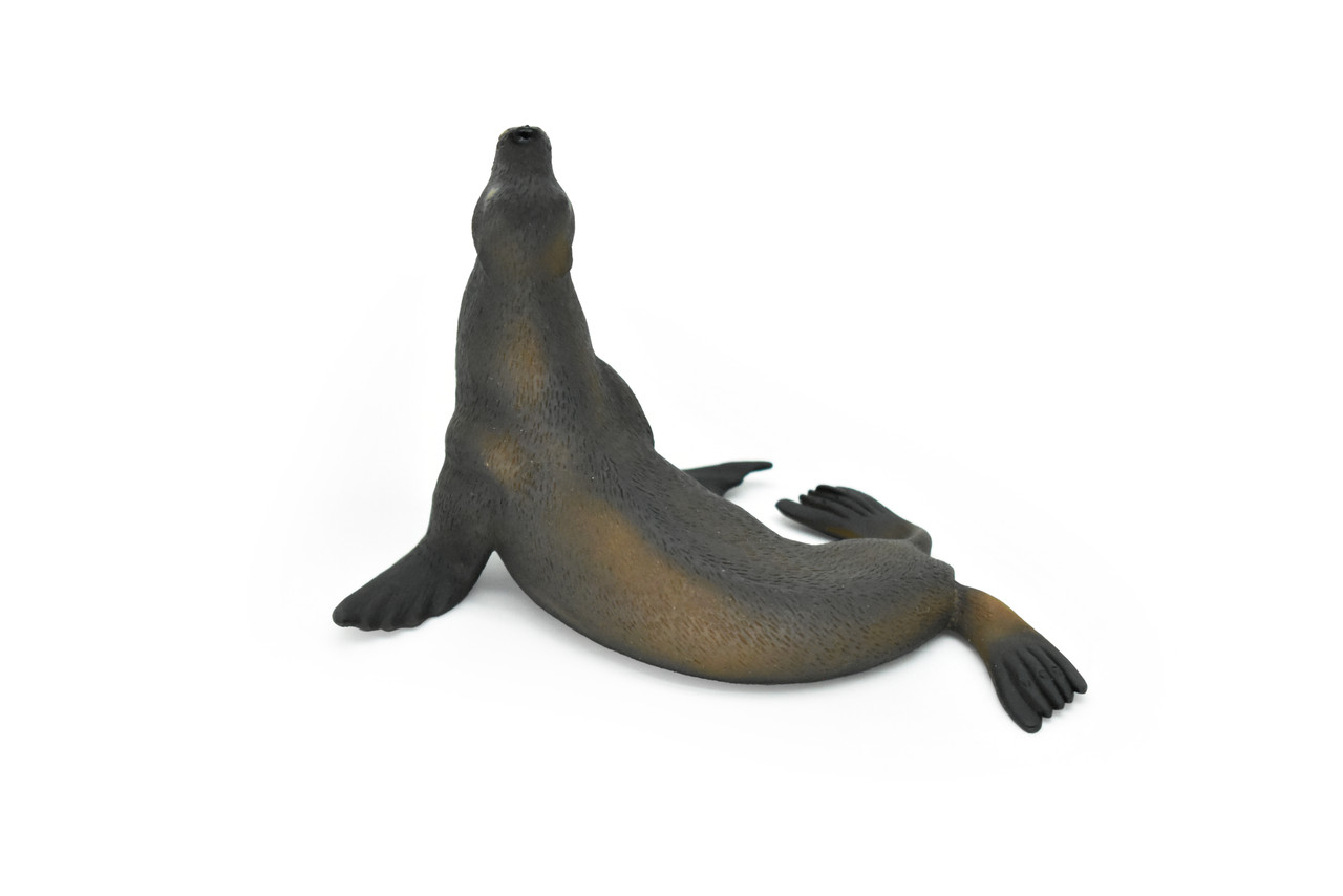 Sea Lion, Pinniped, Museum Quality, Hand Painted, Marine Mammal, Educational, Realistic, Diorama Figure, Lifelike Model, Vintage Replica, Toy,  4 1/2  Inches.  