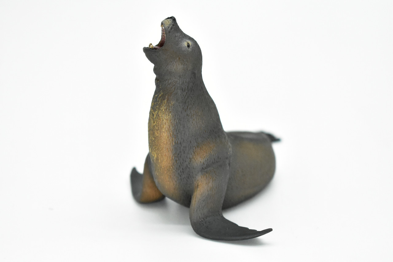 Sea Lion, Pinniped, Museum Quality, Hand Painted, Marine Mammal, Educational, Realistic, Diorama Figure, Lifelike Model, Vintage Replica, Toy,  4 1/2  Inches.  