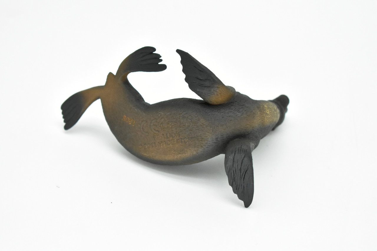 Sea Lion, Museum Quality Plastic Replica     4 1/2"   -   F3642 B78