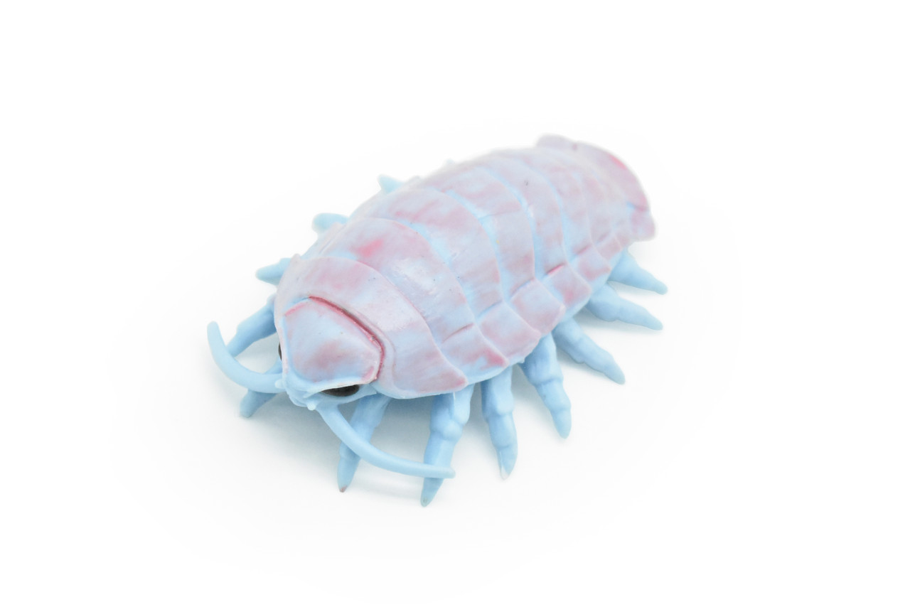 Giant Isopod, Very Nice Plastic Design, Hand Painted, Realistic Figure, Educational, Lifelike, Toy Model, Figurine, Replica, Gift,     3"   