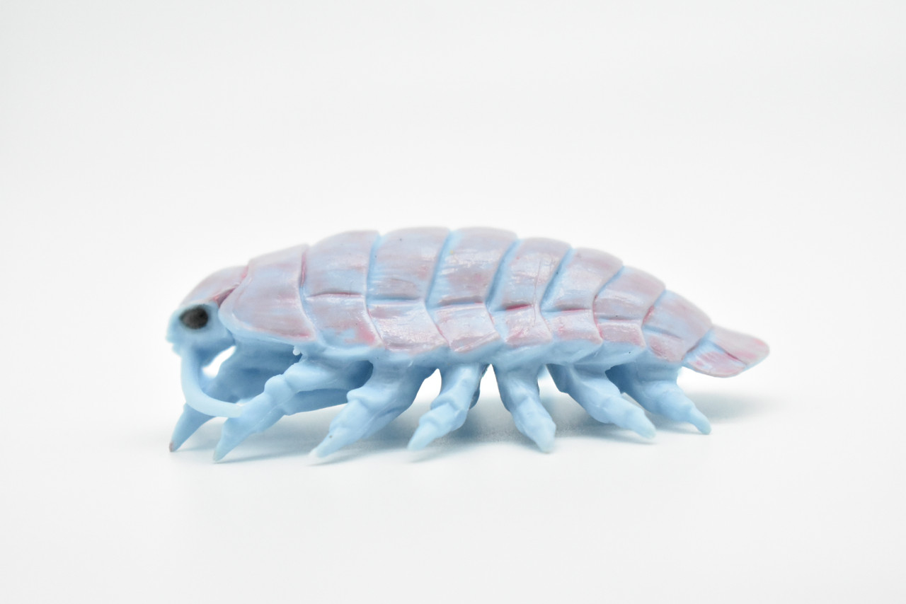 Giant Isopod, Very Nice Plastic Design, Hand Painted, Realistic Figure, Educational, Lifelike, Toy Model, Figurine, Replica, Gift,     3"   