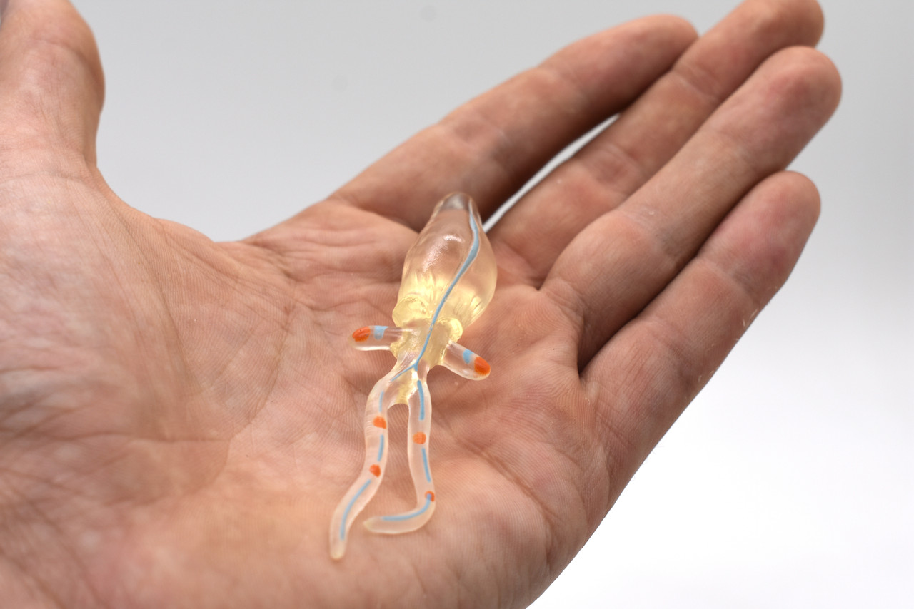 Glass Squid, Clear Color, Very Nice Plastic Replica, Educational, Realistic, Figure, Lifelike Figurine, Replica, Gift,       3 1/2"  