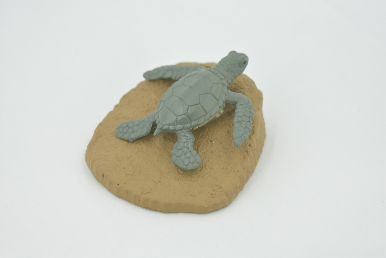 Sea Turtle, 4 Stages, Learn the Sea Turtle Life Cycle, Plastic Figure, Model, Realistic Replica, Educational, Figurine, Animal, Life Like, Gift,    3"    F3686 B328