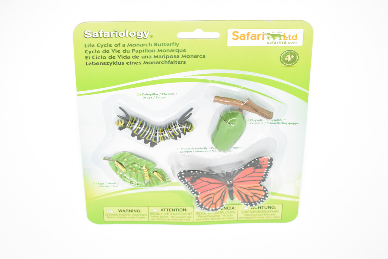 Life cycle figurines of a Monarch butterfly - Safari Ltd