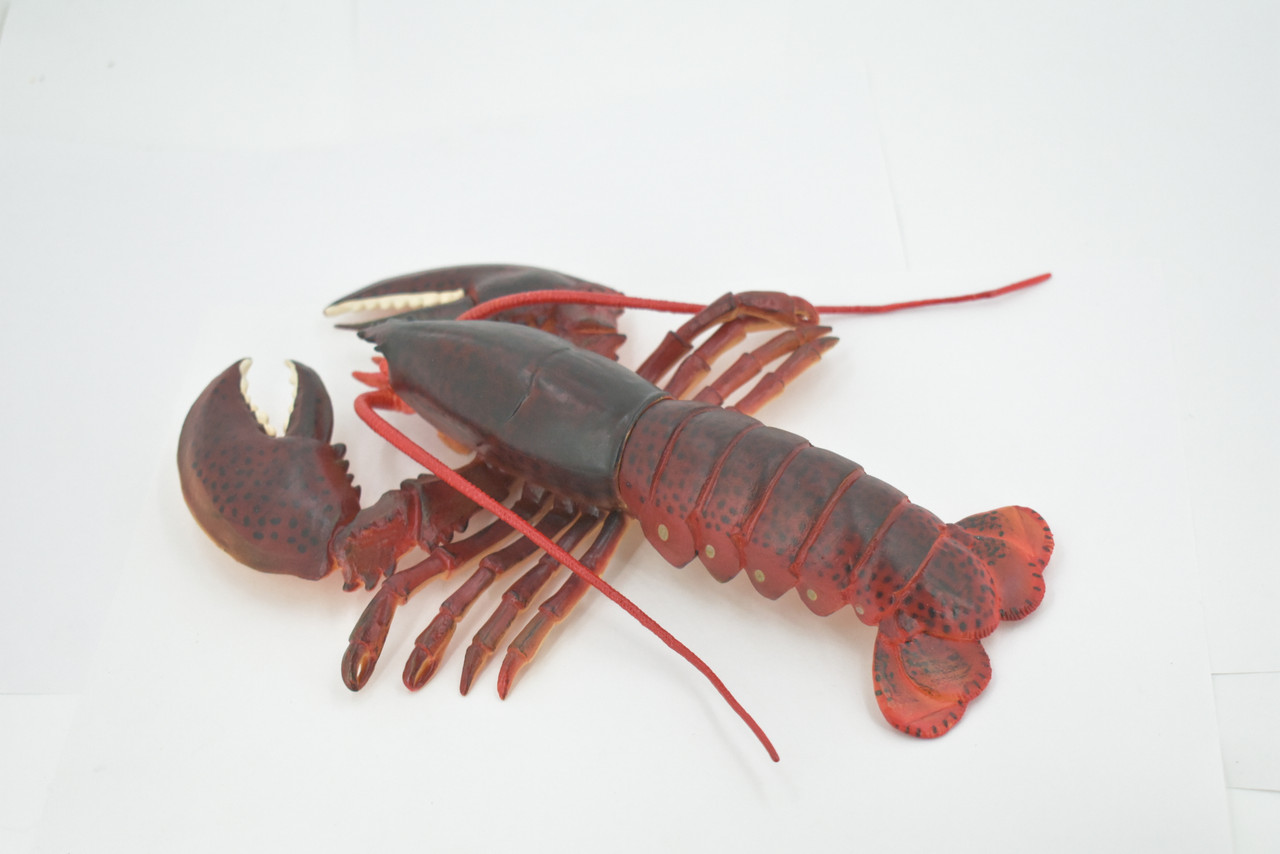 Lobster, East Coast, Maine, Red, Hard Rubber Crustaceans, Educational, Figure, Lifelike, Model, Replica, Gift,     9"  F4070 B91