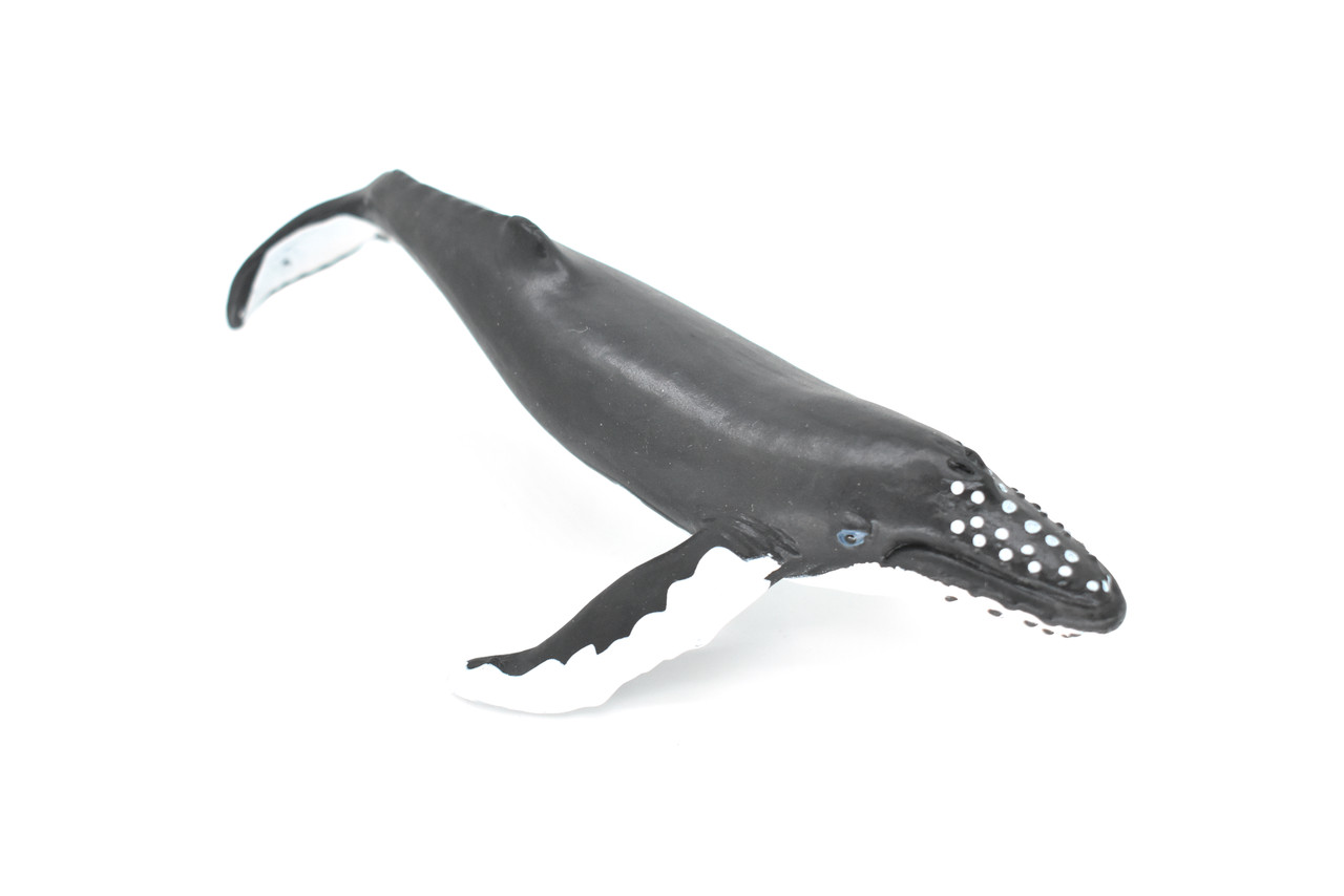 Humpback Whale, Realistic Toy Model Plastic Replica Animal, Kids Educational Gift  7"   F4075 B54