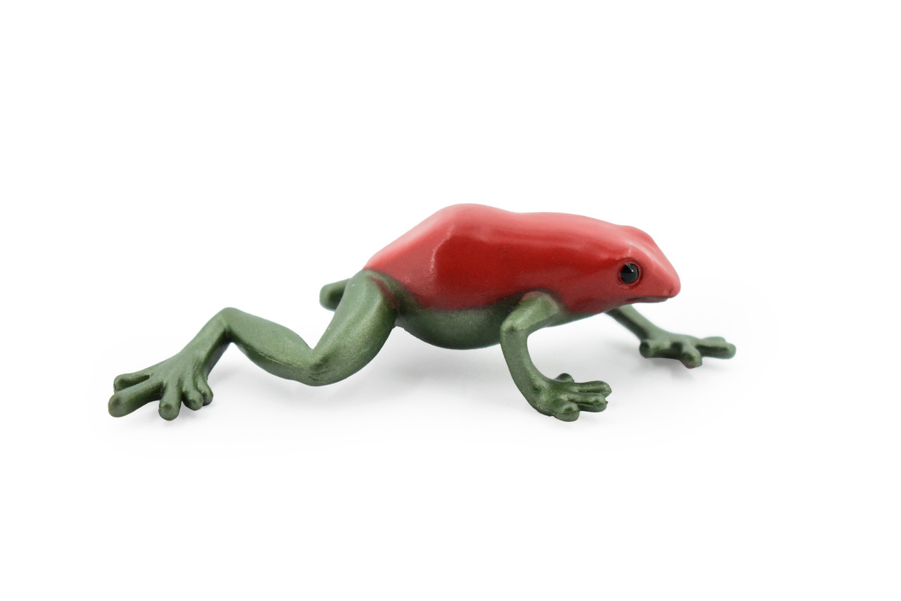 Frog, Red Poison Dart Frog, Plastic Toy, Realistic, Rainforest, Figure, Model, Replica, Kids, Educational, Gift,      3"      F4091 B54