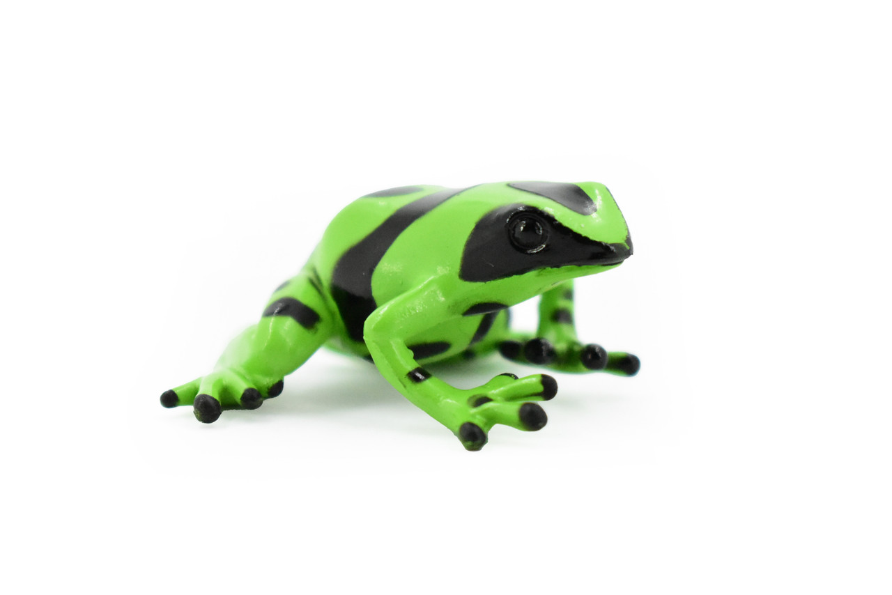 Frog, Green and Black Poison Dart Frog, Plastic Toy, Realistic, Rainforest, Figure, Model, Replica, Kids, Educational, Gift,      2"    F4092 B54