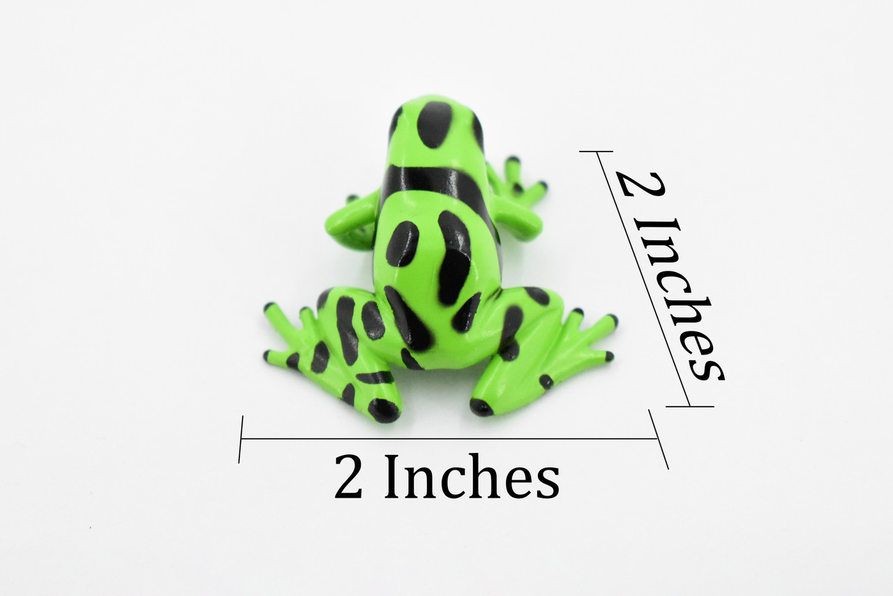 Frog, Green and Black Poison Dart Frog, Plastic Toy, Realistic, Rainforest,  Figure, Model, Replica, Kids, Educational, Gift, 2