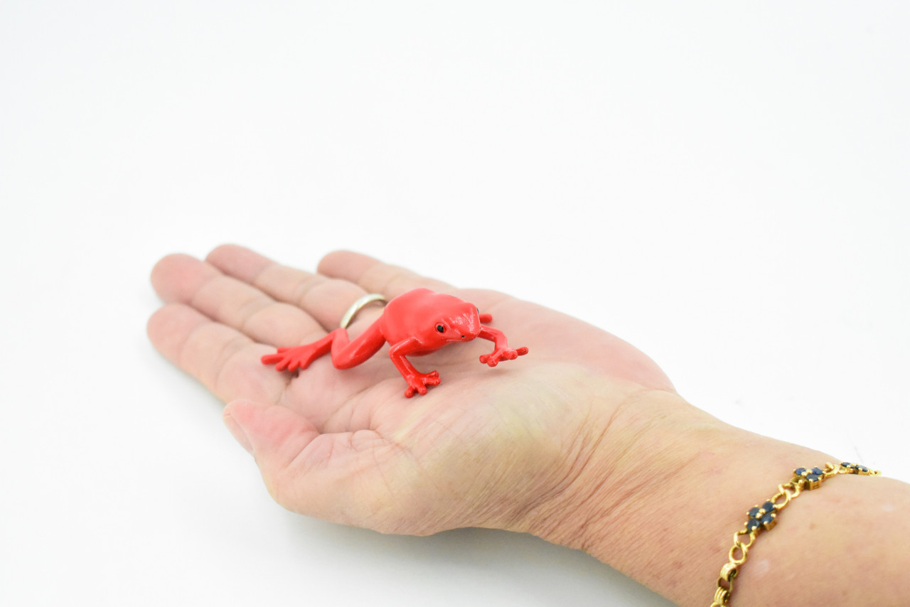 Frog,  Red Strawberry Poison Dart Frog, Plastic Toy, Realistic, Rainforest, Figure, Model, Replica, Kids, Educational, Gift,     3"    F4094 B54