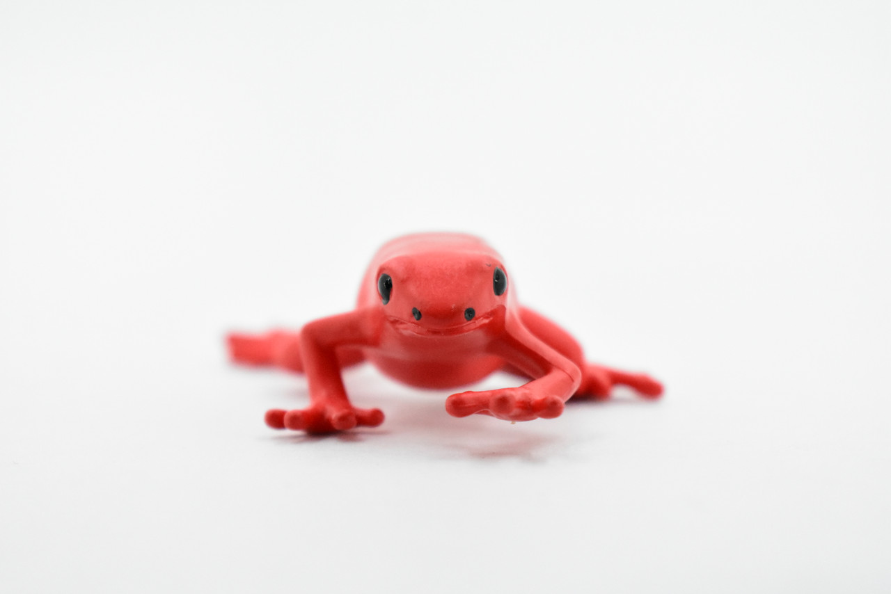 Frog, Red Strawberry Poison Dart Frog, Plastic Toy, Realistic, Rainforest,  Figure, Model, Replica, Kids, Educational, Gift