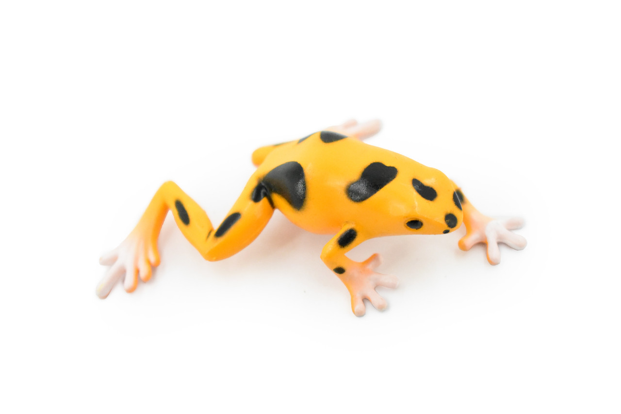 Frog, Orange and Black Poison Dart Frog, Plastic Toy, Realistic, Rainforest, Figure, Model, Replica, Kids, Educational, Gift,    3"    F4095 B54