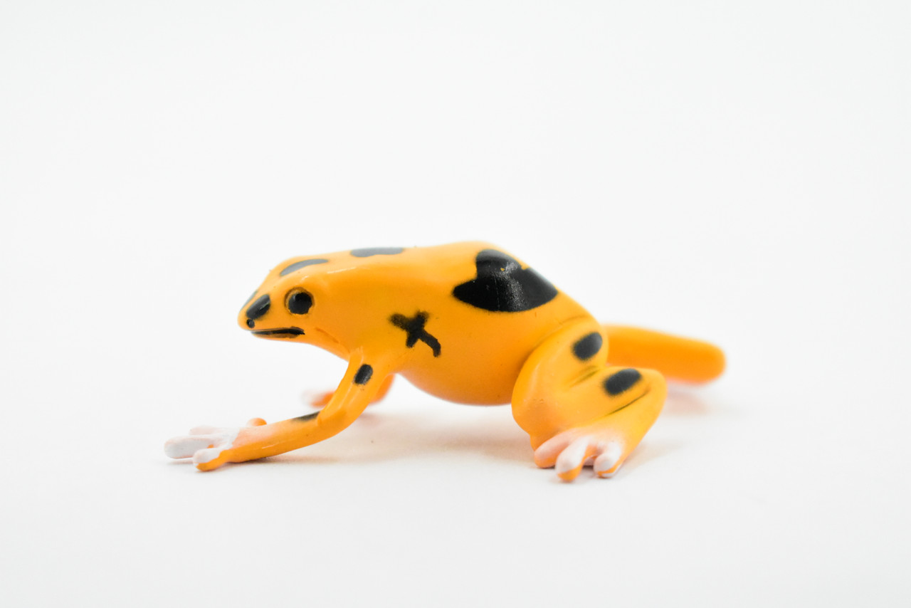 Frog, Orange and Black Poison Dart Frog, Plastic Toy, Realistic, Rainforest, Figure, Model, Replica, Kids, Educational, Gift,    3"    F4095 B54