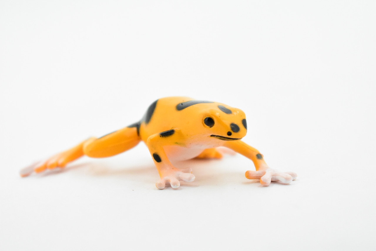 Kvvdi 12 Pcs 1.4 Inch Small Colorful Plastic Poison Dart Frogs Rainforest  Animals Frog Toys