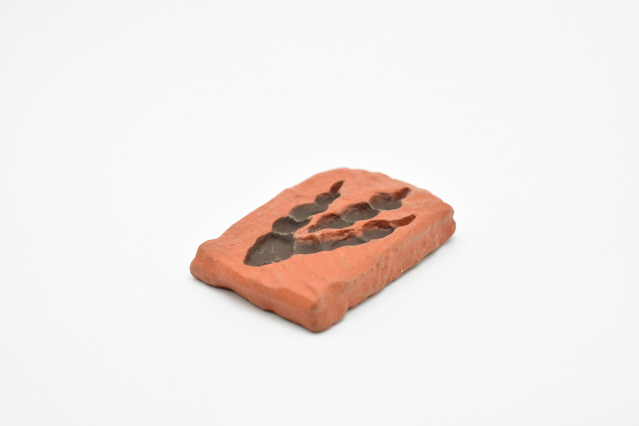 Dinosaur, Track Footprint, Red, Very Nice Plastic Replica    2"   F4099R B96