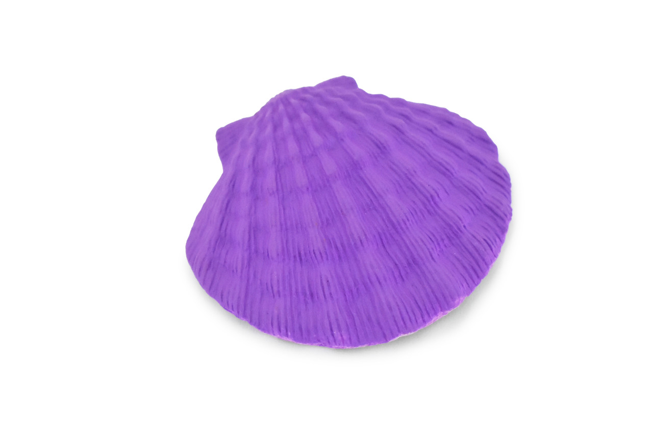 Purple Scallop Shell Toy