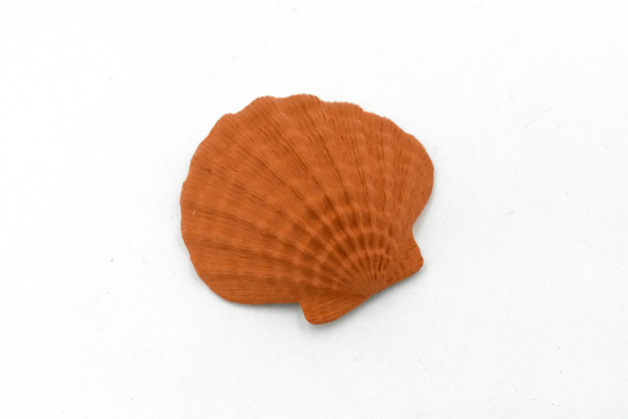 Scallop Shell, Lion's Paw, Orange Shell, Ocean, Sea Life, Plastic Figure, Model, Realistic Replica, Educational, Figurine, Animal, Life Like, Gift,    1 3/4"      F4115 B96