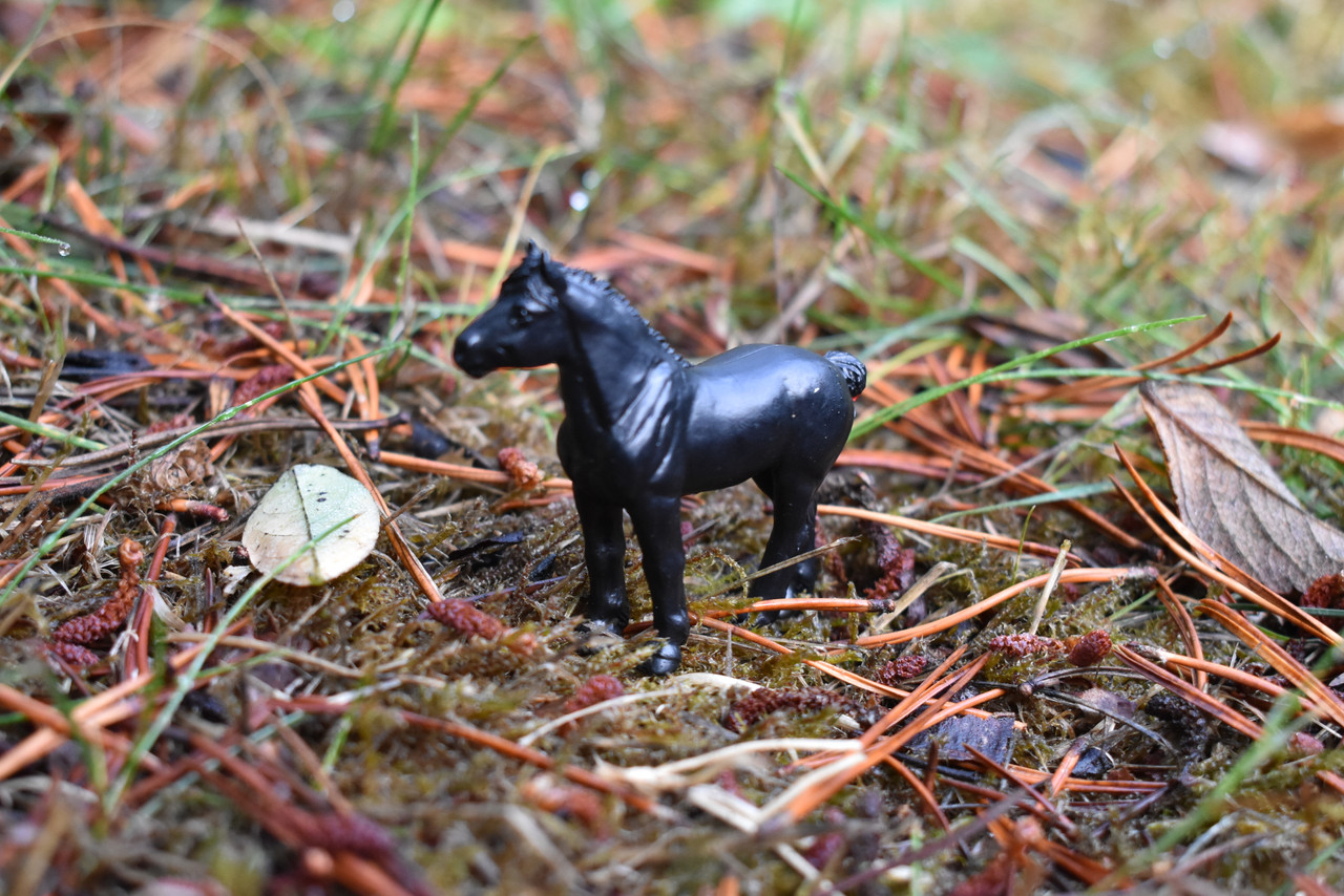 Horse, Black Plastic Toy Animal, Realistic Figure, Farm Model, Barnyard Replica, Kids Educational Gift  2"  F4159 B140