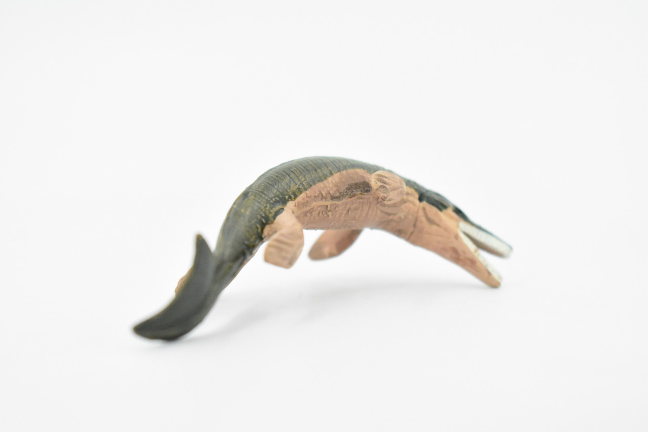 Crocodile, Metriorynchus Extinct Crocodile, Rubber Toy Animal, Realistic Figure, Model, Replica, Kids Educational Gift,   3 1/2"    F4168 B374