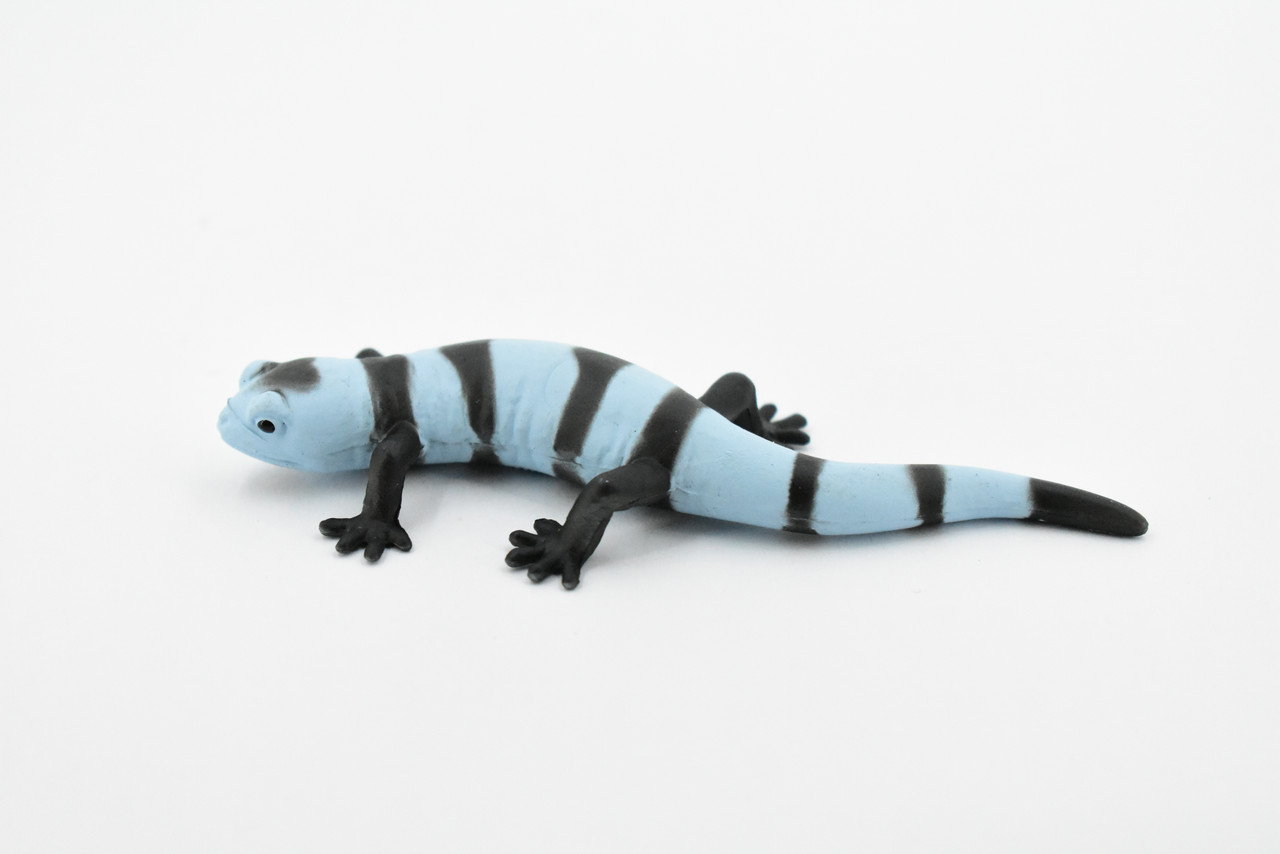 Salamander, Blue and Black, Rubber Amphibian, Educational, Realistic, Hand Painted, Figure, Lifelike Model, Figurine, Replica, Gift,       4"          F419 B9