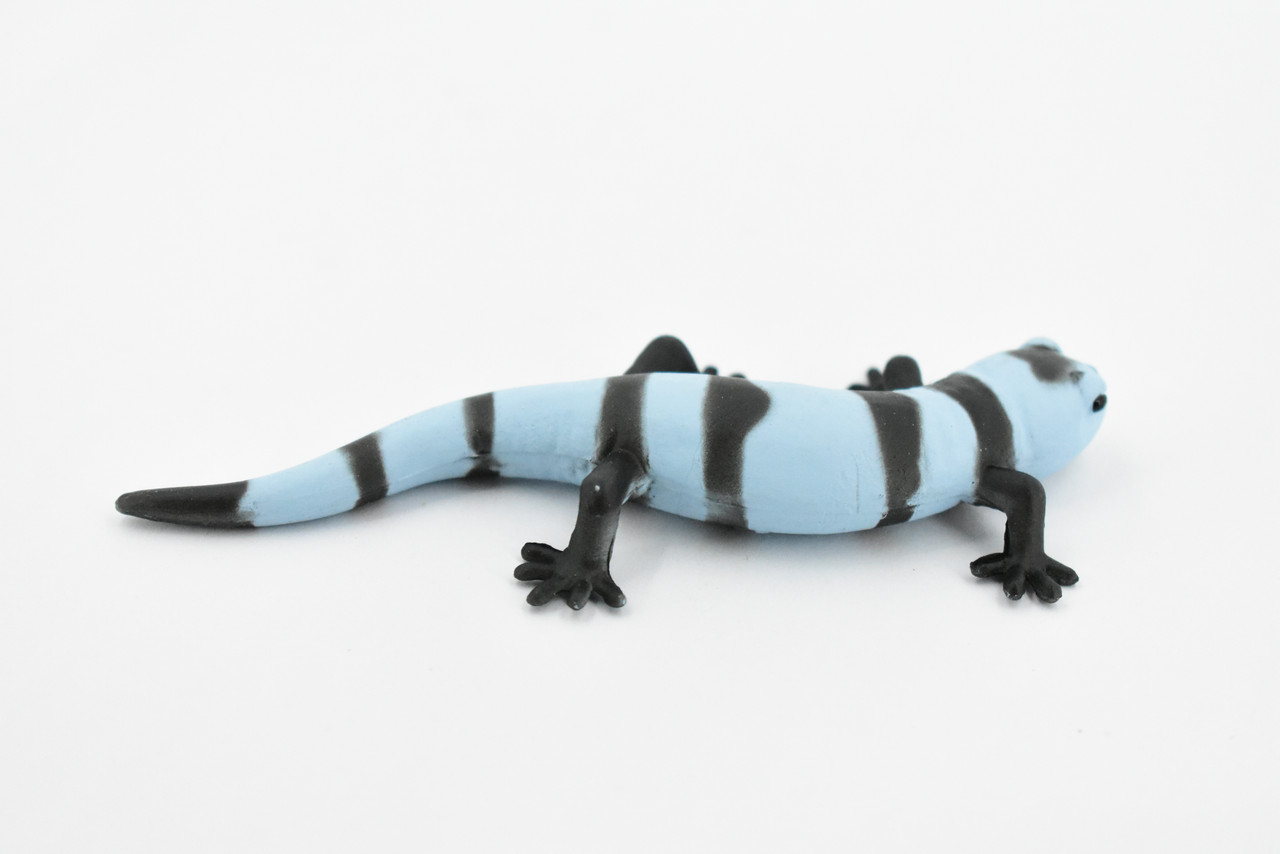 Salamander, Blue and Black, Rubber Amphibian, Educational, Realistic, Hand Painted, Figure, Lifelike Model, Figurine, Replica, Gift,       4"          F419 B9